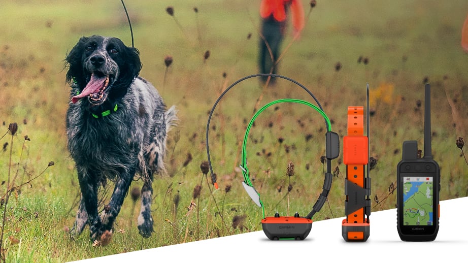 Alpha-Series-Press-Release-IT