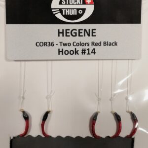 AMETTIERA COREGONE LAVARELLO