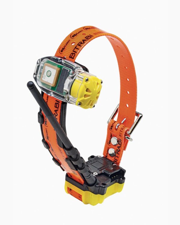 Mito-Biper-Arancione-600x750