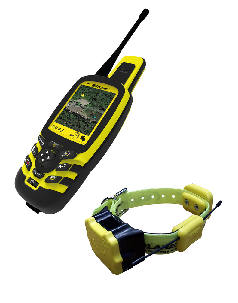 BSP_Cat2016Marzo_A4_IT.indd