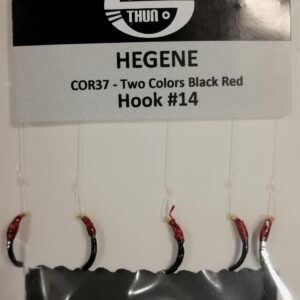 AMETTIERA COREGONE LAVARELLO