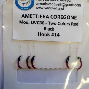 AMETTIERA COREGONE