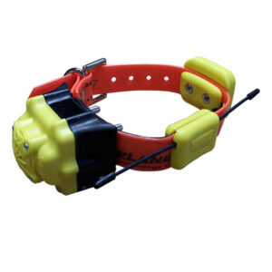 BS993 RADIO COLLARE GPS UNICO