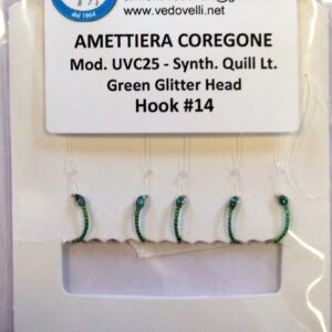 AMETTIERA COREGONE