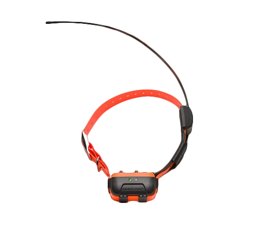 aggiuntivo-canicom-GPS2